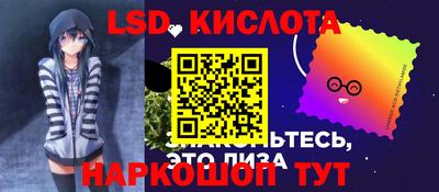 spice Гай