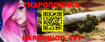 ECSTASY Гатчина
