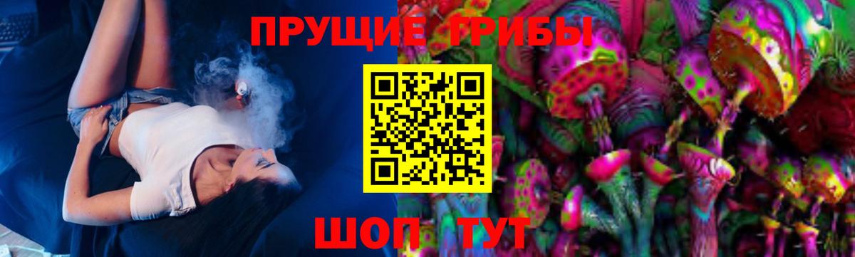 Галлюциногенные грибы Magic Shrooms  Вход с VPN  Камышлов 